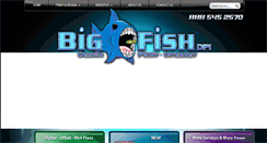 Desktop Screenshot of bigfishdpi.com